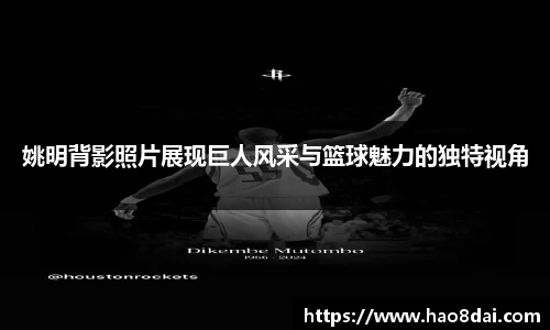 姚明背影照片展现巨人风采与篮球魅力的独特视角