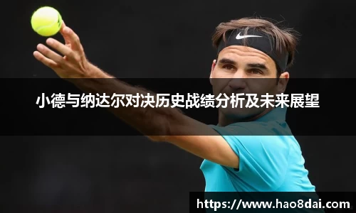 小德与纳达尔对决历史战绩分析及未来展望