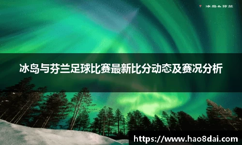 冰岛与芬兰足球比赛最新比分动态及赛况分析