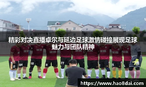 精彩对决直播卓尔与延边足球激情碰撞展现足球魅力与团队精神